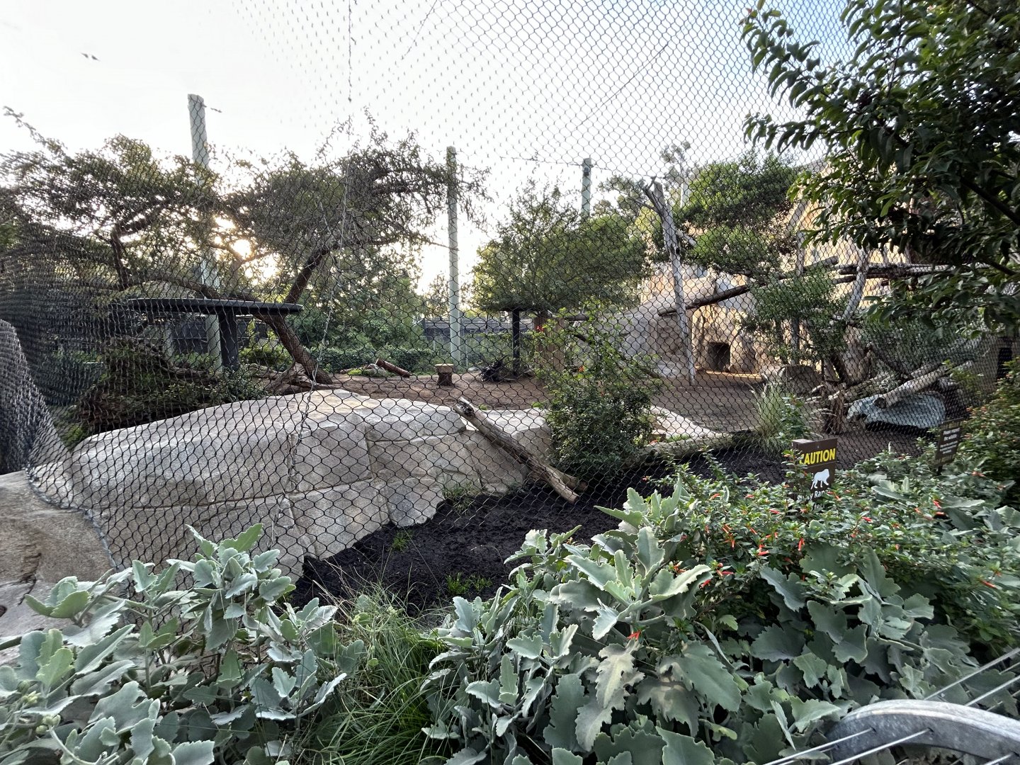 Lion Exhibit - Elephant Odyssey