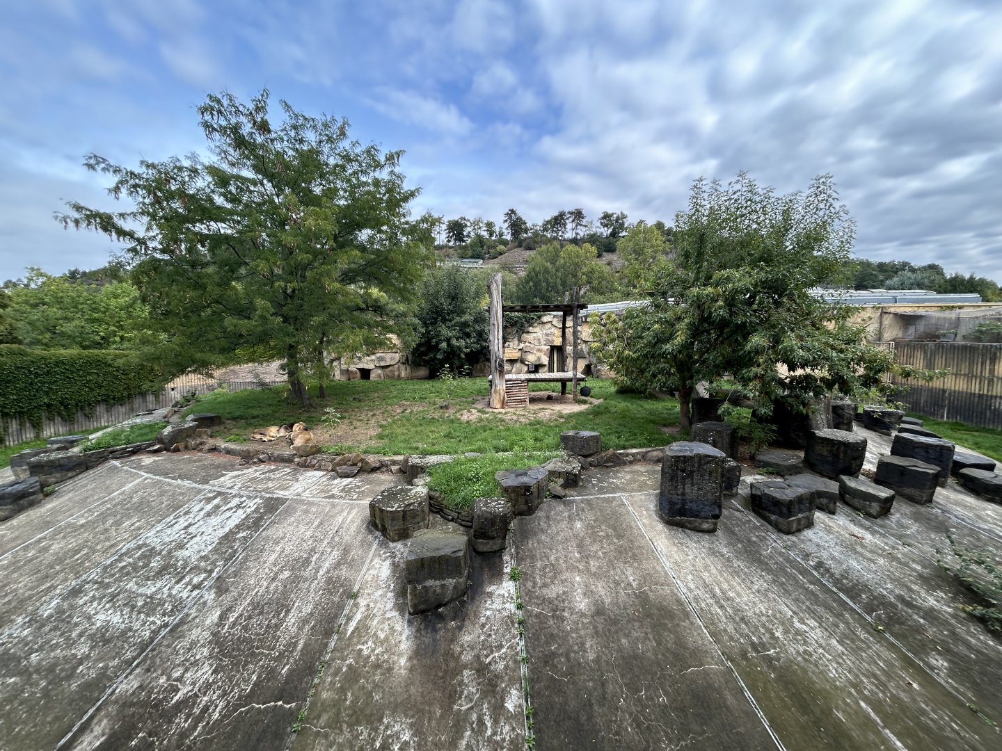 Lion Exhibit - Feline\Reptile House