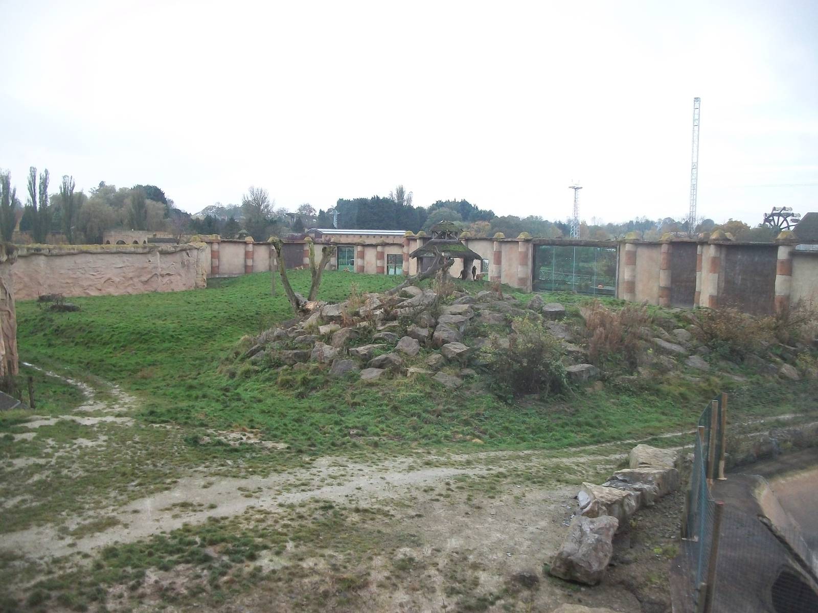 Lion exhibit from viewing area under water chute 1st November 2012