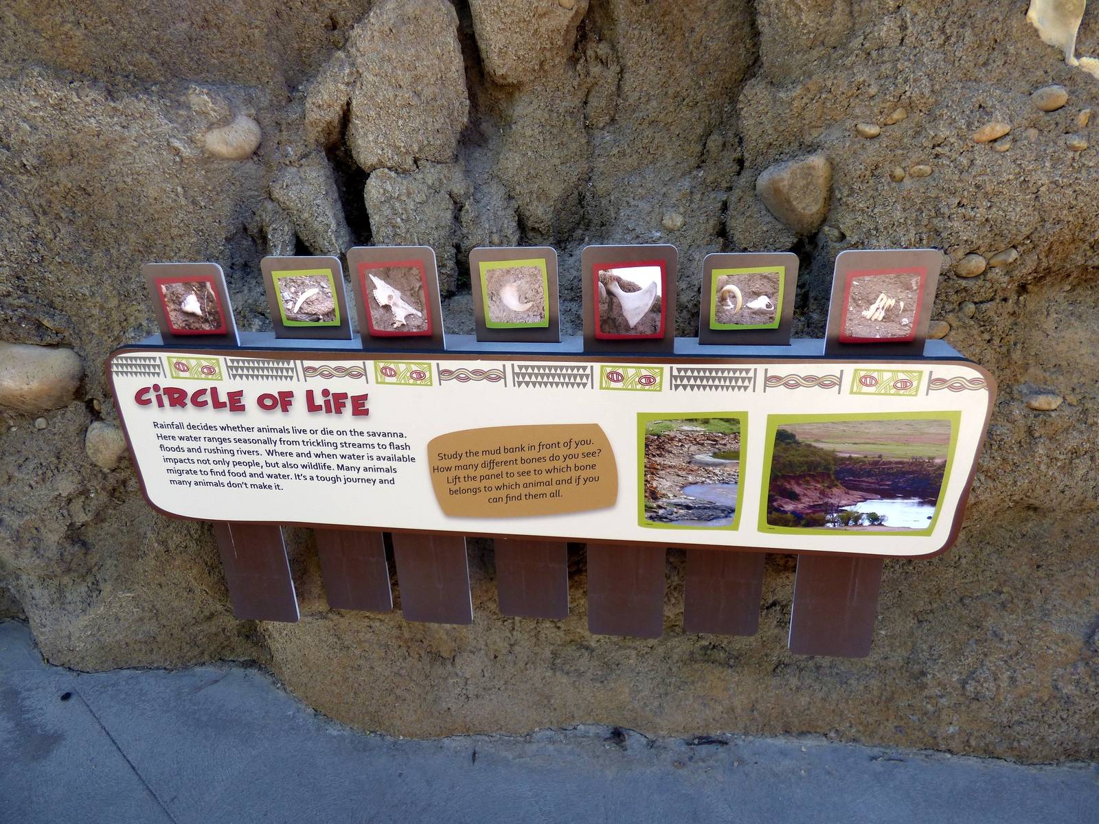 Lion Exhibit - Graphics
