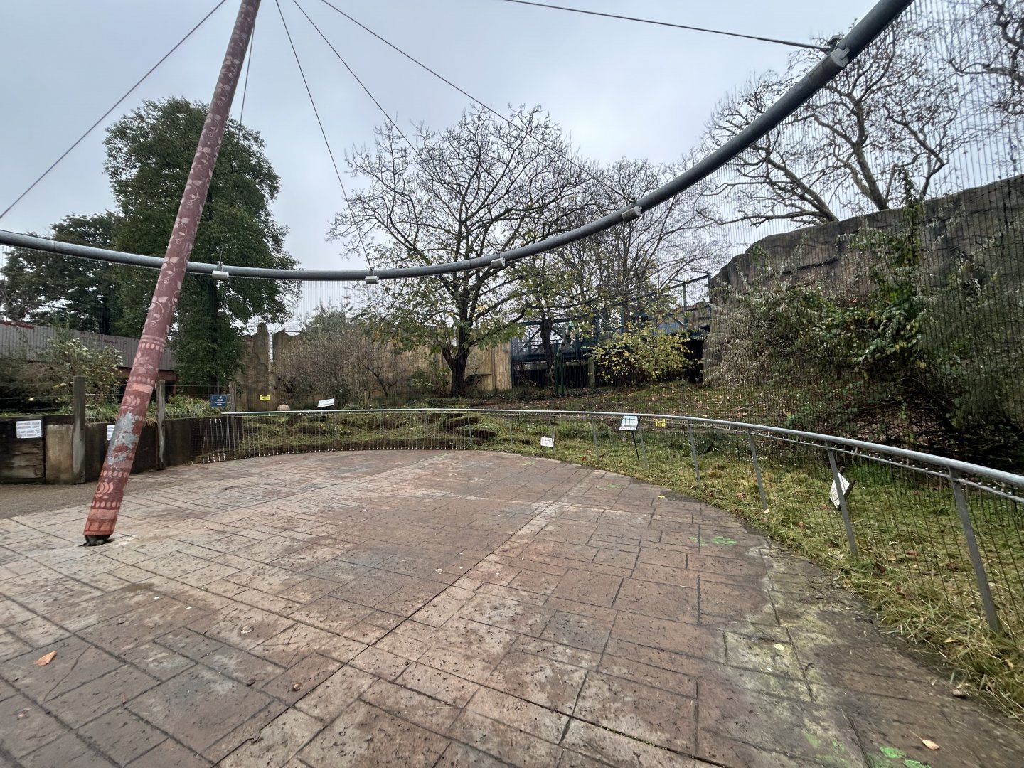 Lion Exhibit - Land of the Lions