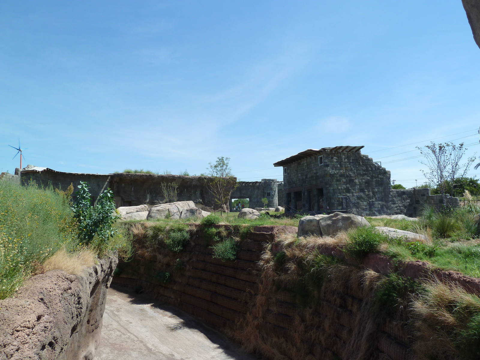 Lion Exhibit - New Exhibit In 2010