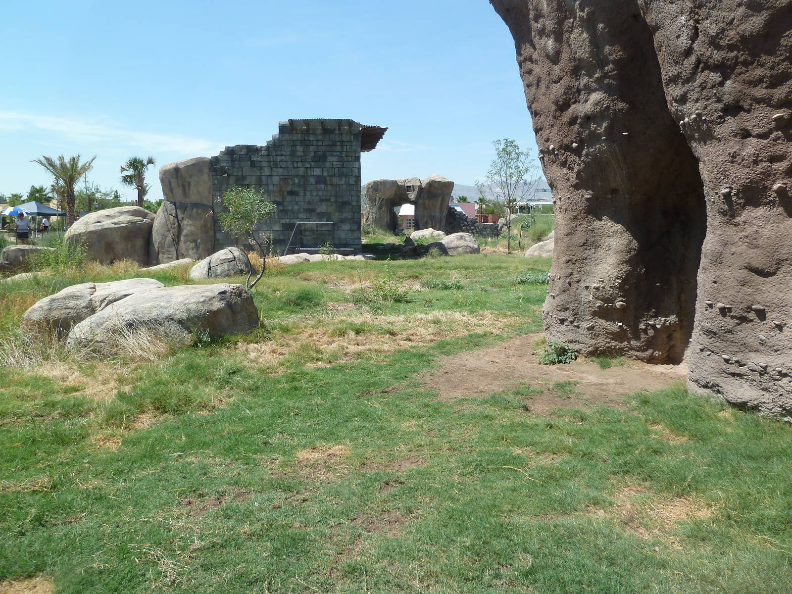 Lion Exhibit - New Exhibit In 2010