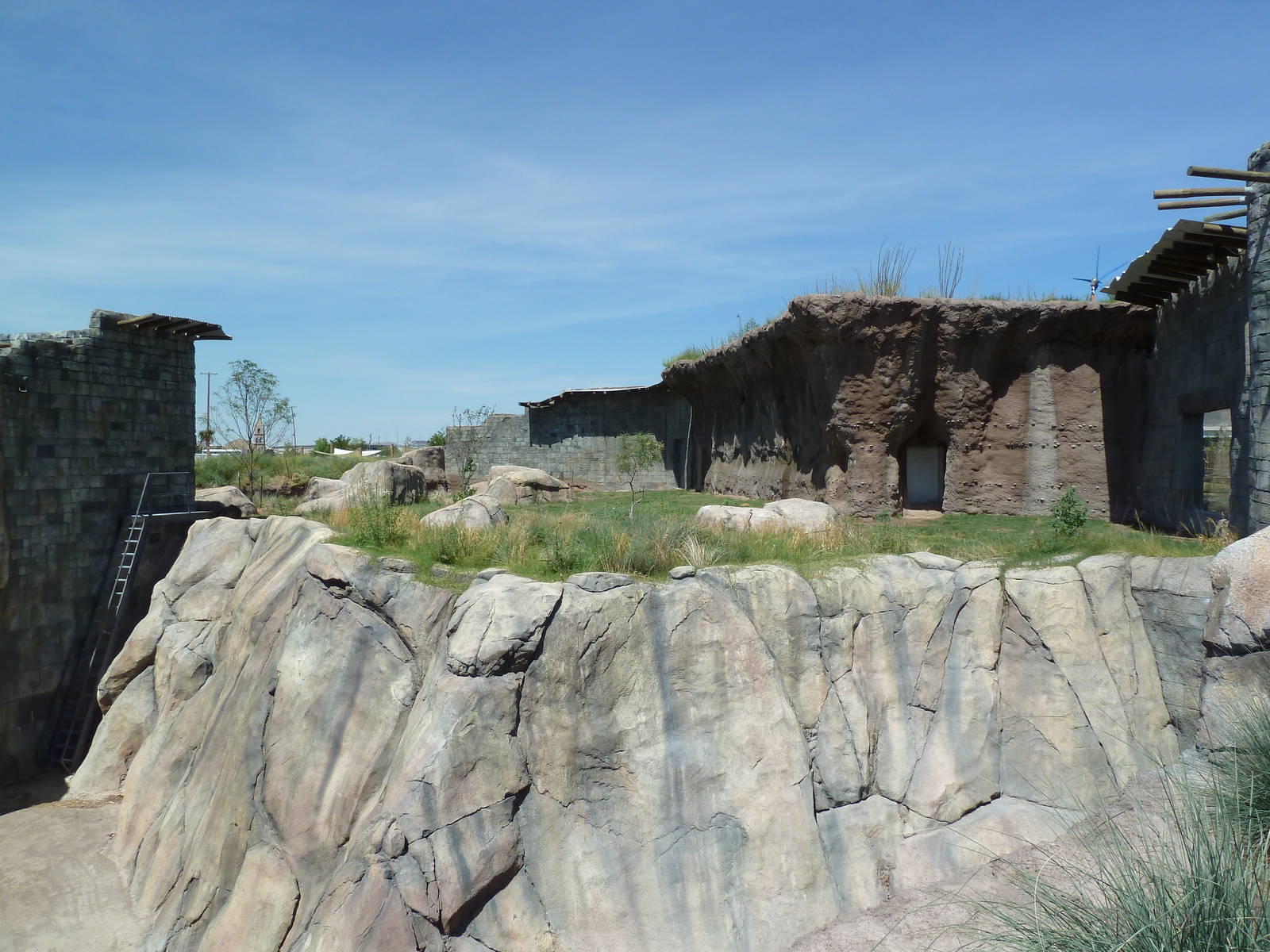 Lion Exhibit - New Exhibit In 2010