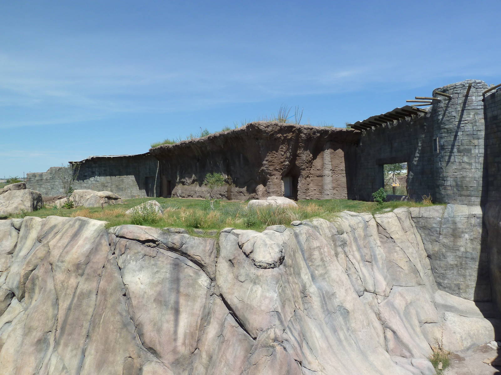 Lion Exhibit - New Exhibit In 2010