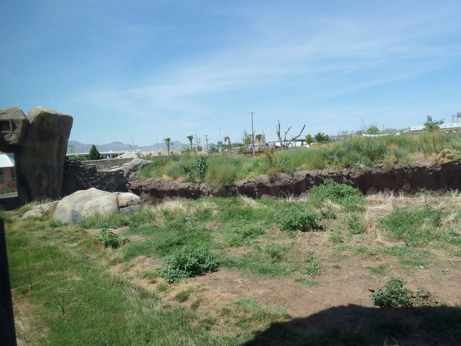 Lion Exhibit - New Exhibit In 2010