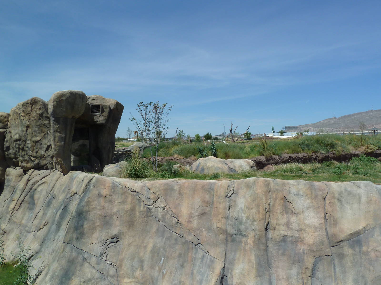 Lion Exhibit - New Exhibit In 2010
