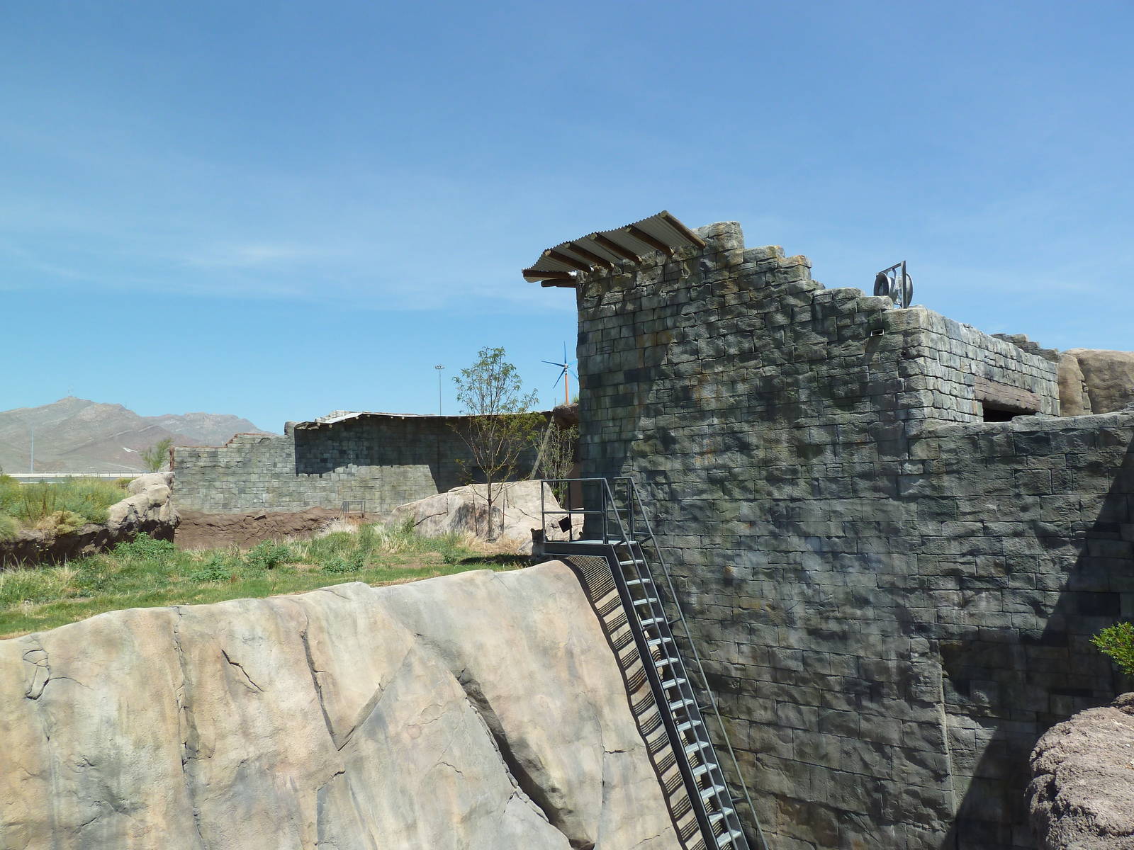 Lion Exhibit - New Exhibit In 2010