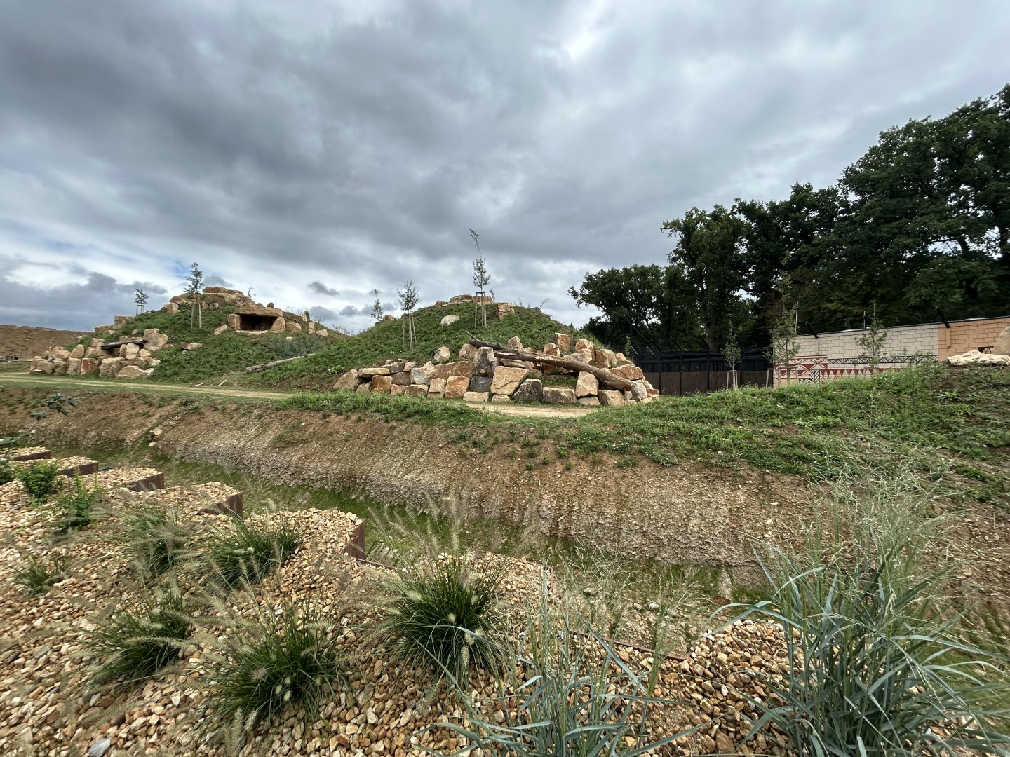 Lion Exhibit (New in 2025)