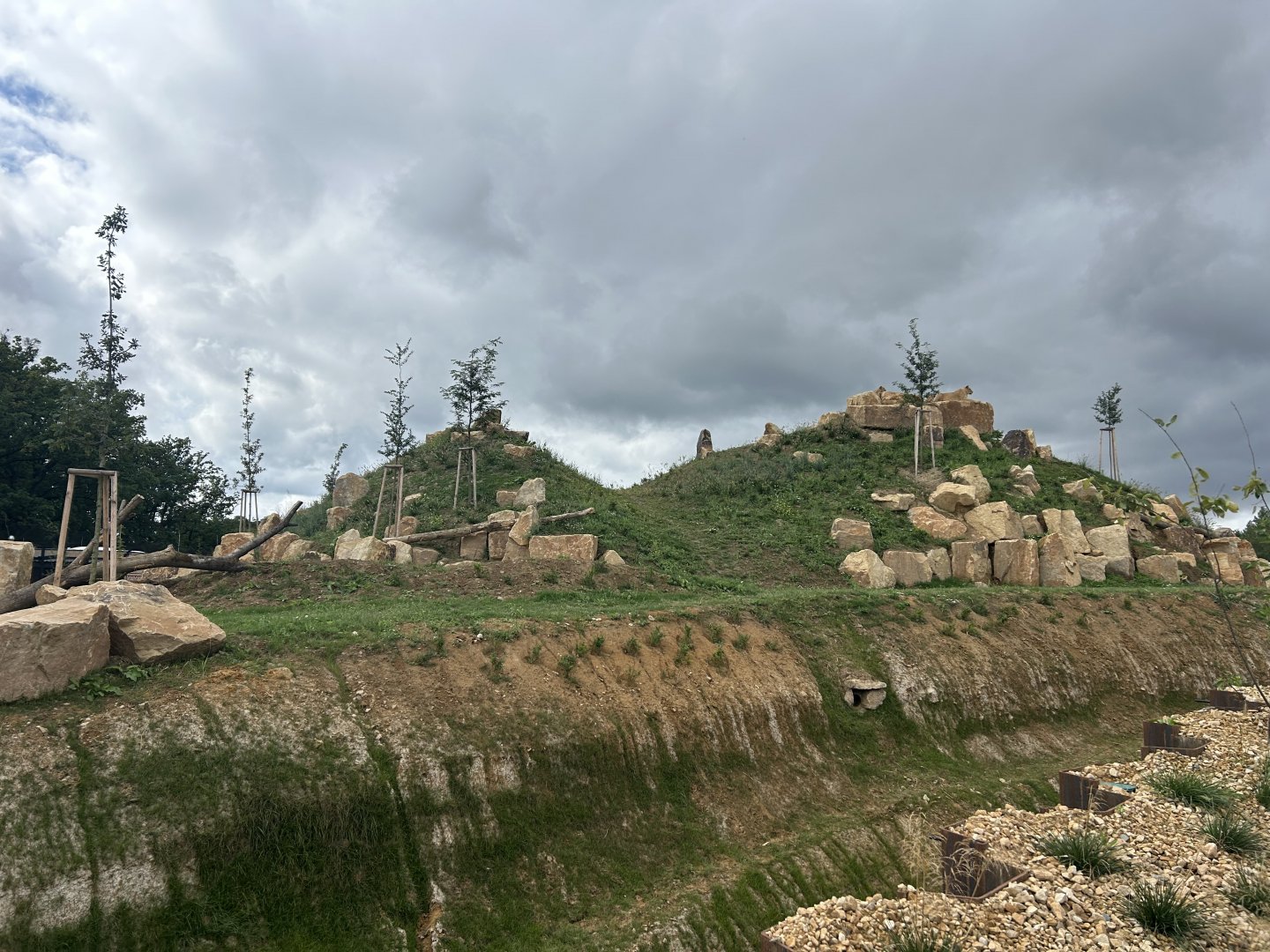 Lion Exhibit (New in 2025)