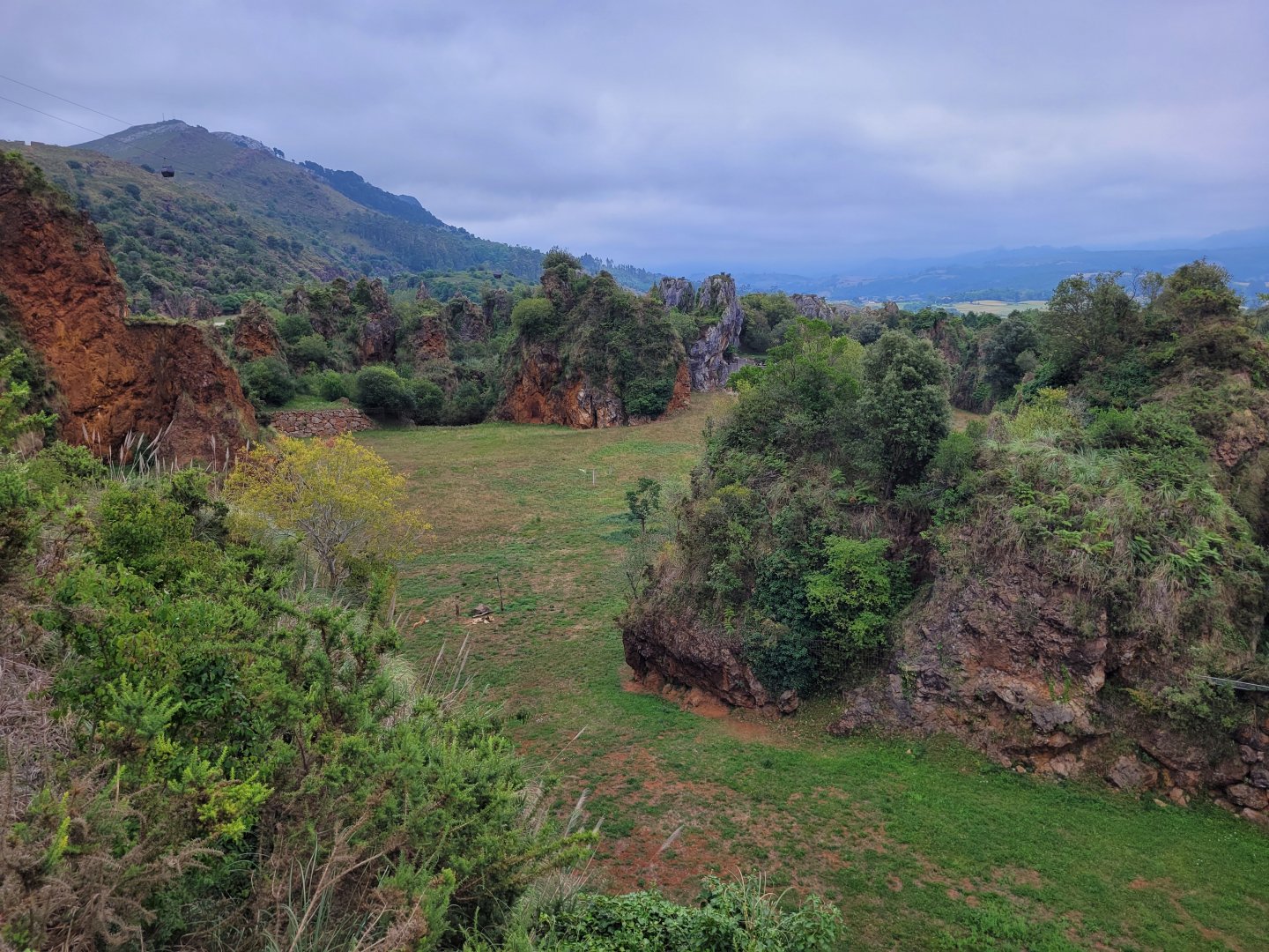 Lion exhibit -Parque de la Naturaleza de Cabárceno (2022)