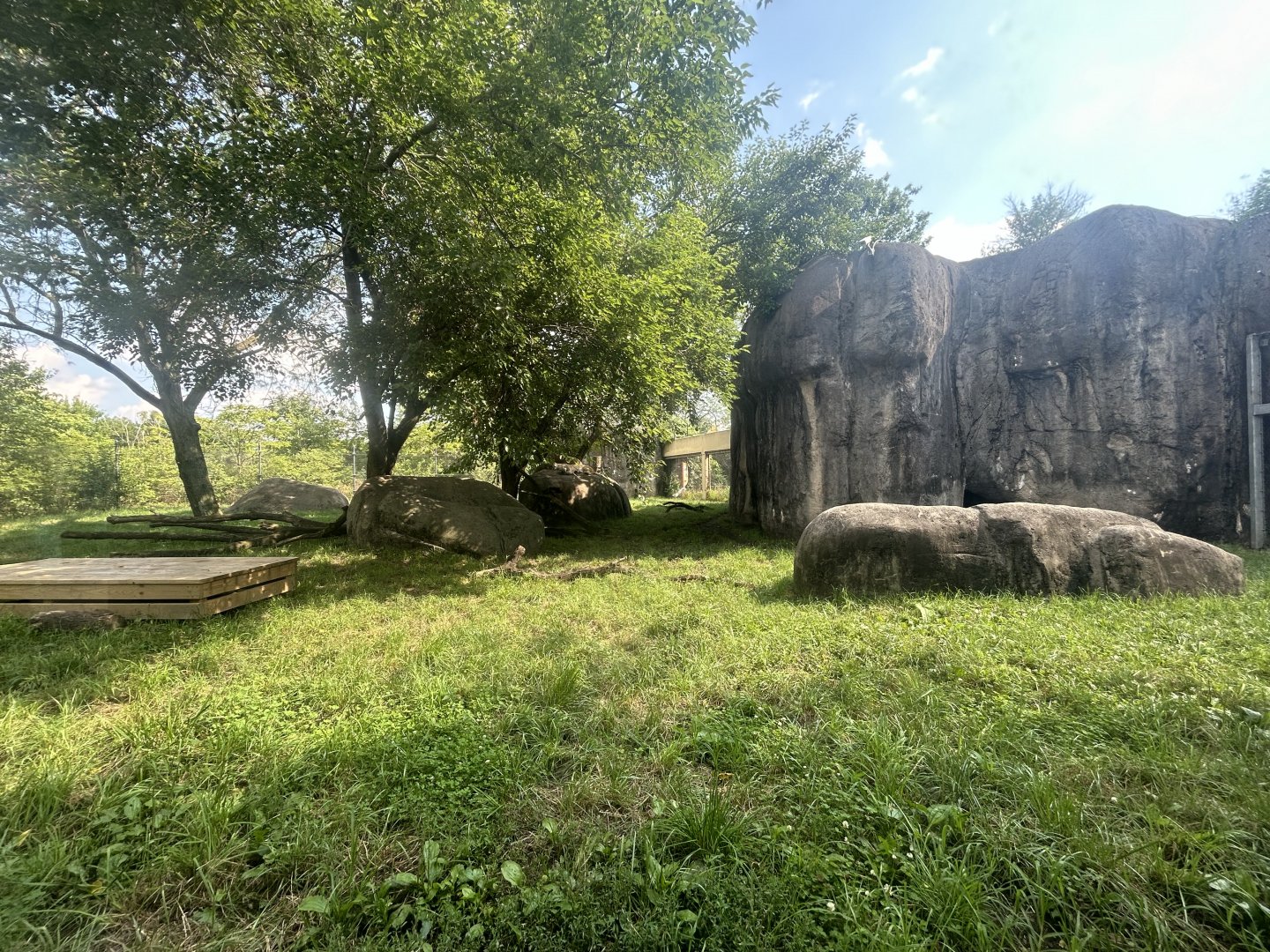 Lion Exhibit - Plains