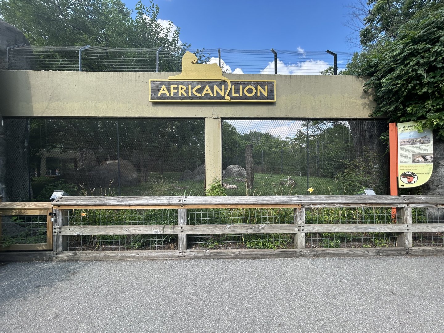 Lion Exhibit - Plains