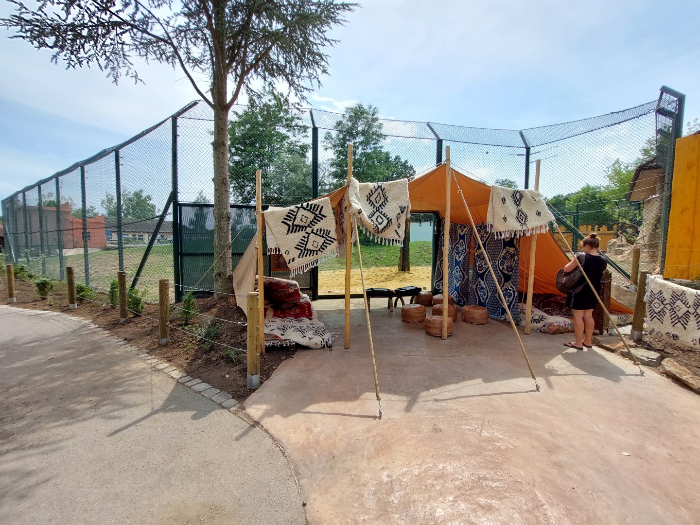 Lion exhibit reconstruction - Berber tent lookout