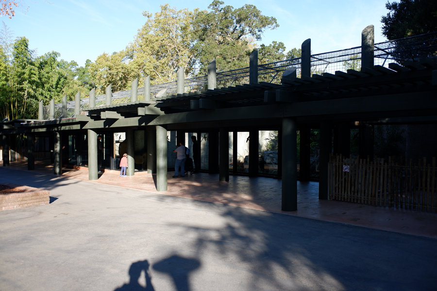 lion exhibit (renovated)