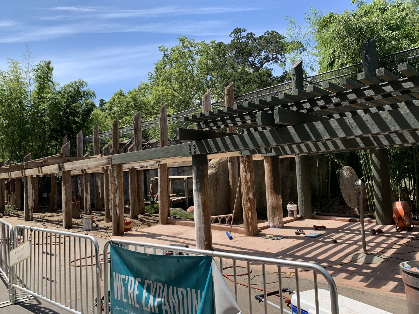 Lion exhibit renovations