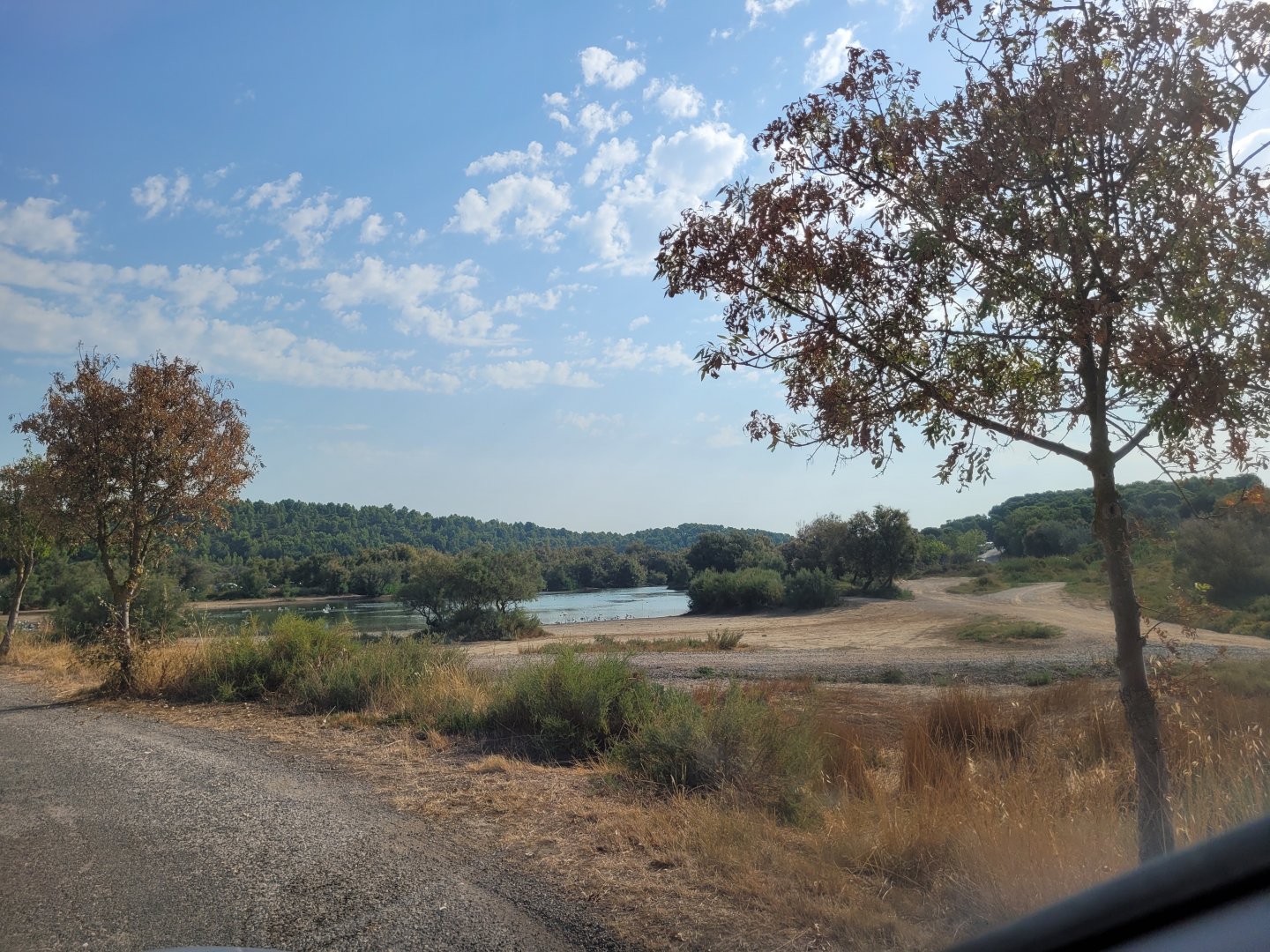Lion exhibit -Réserve Africaine de Sigean (2022)
