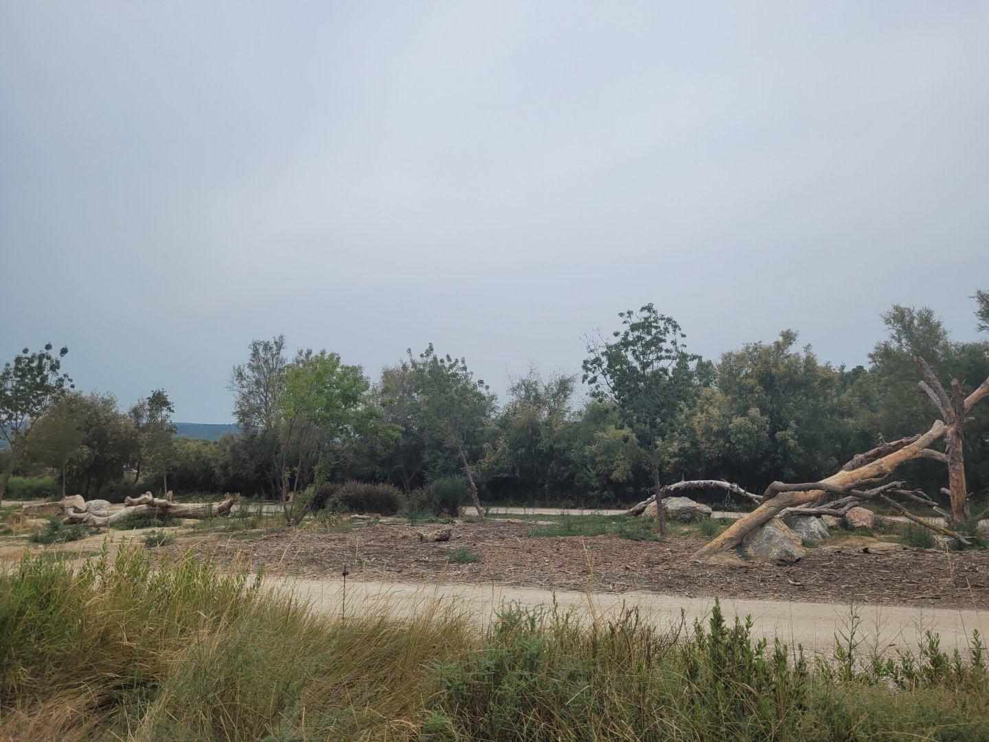 Lion exhibit -Réserve Africaine de Sigean (2022)