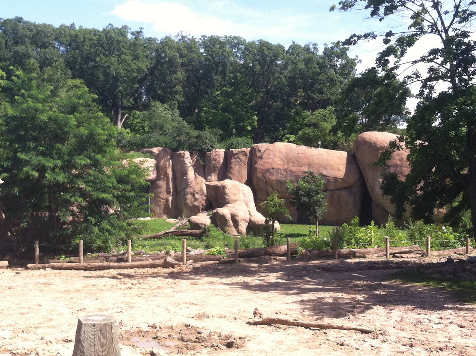 Lion Exhibit & Rhino/Zebra Exhibit