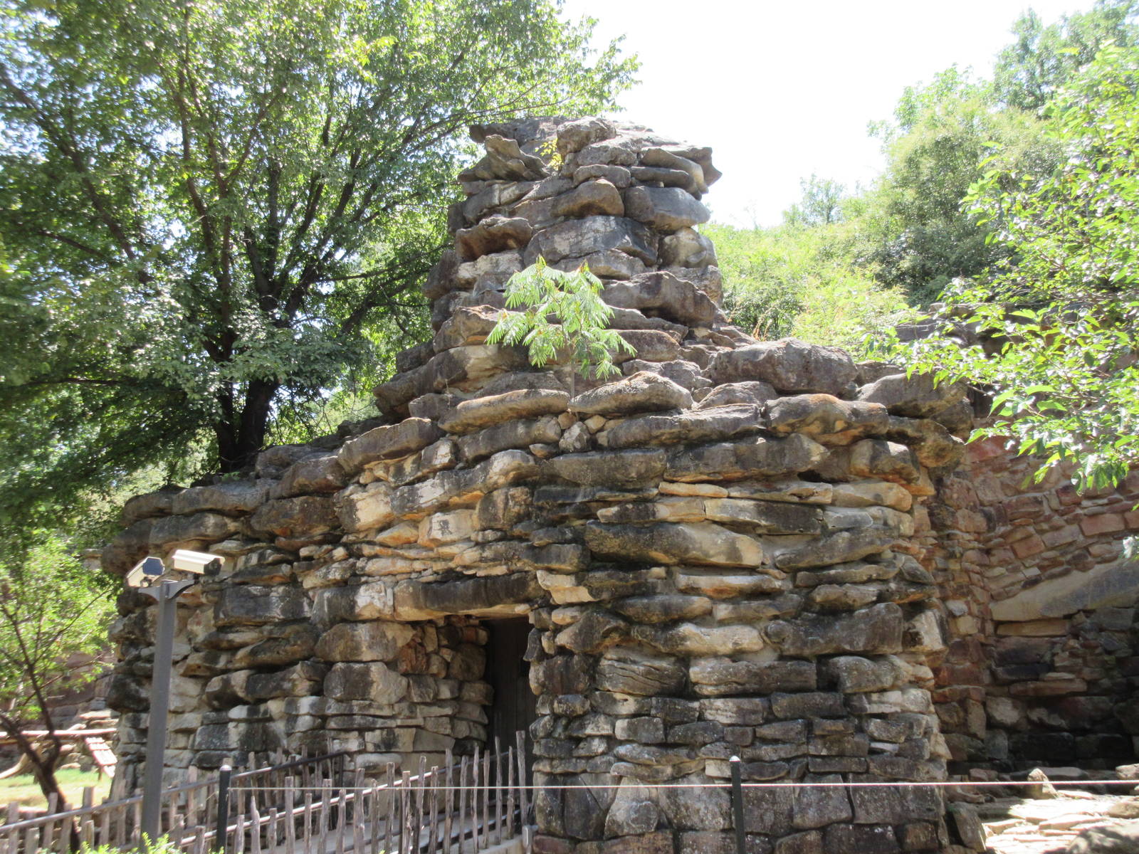 Lion Exhibit Rock (indoor accommodation is hidden back there)