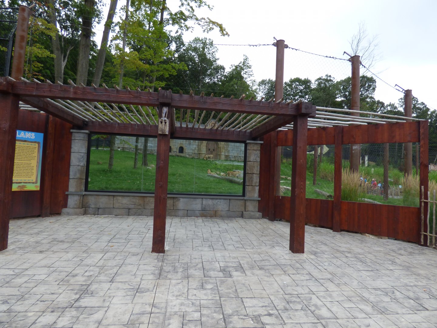 Lion Exhibit - Sept. 2018