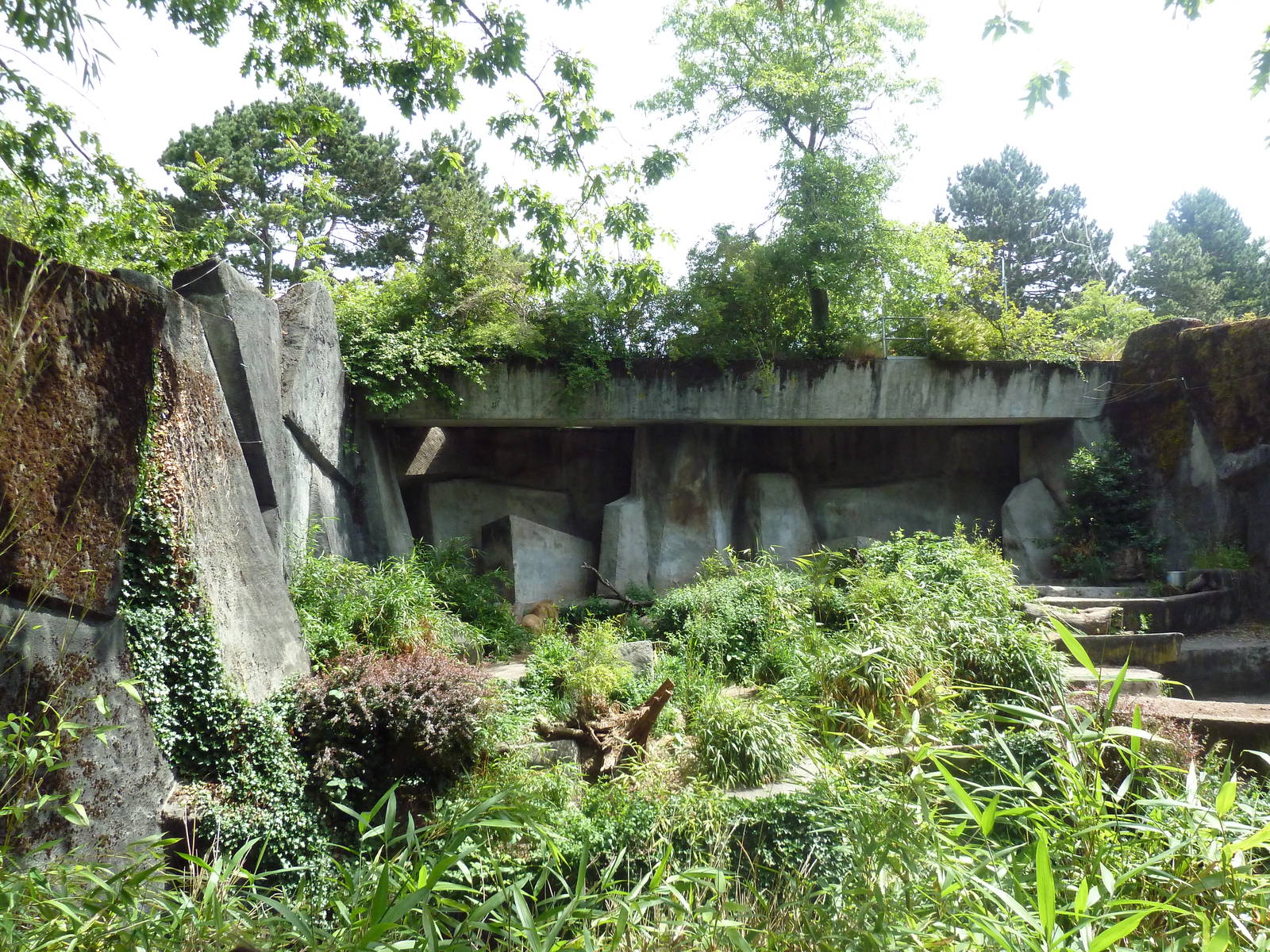 Lion Exhibit (Temporary)