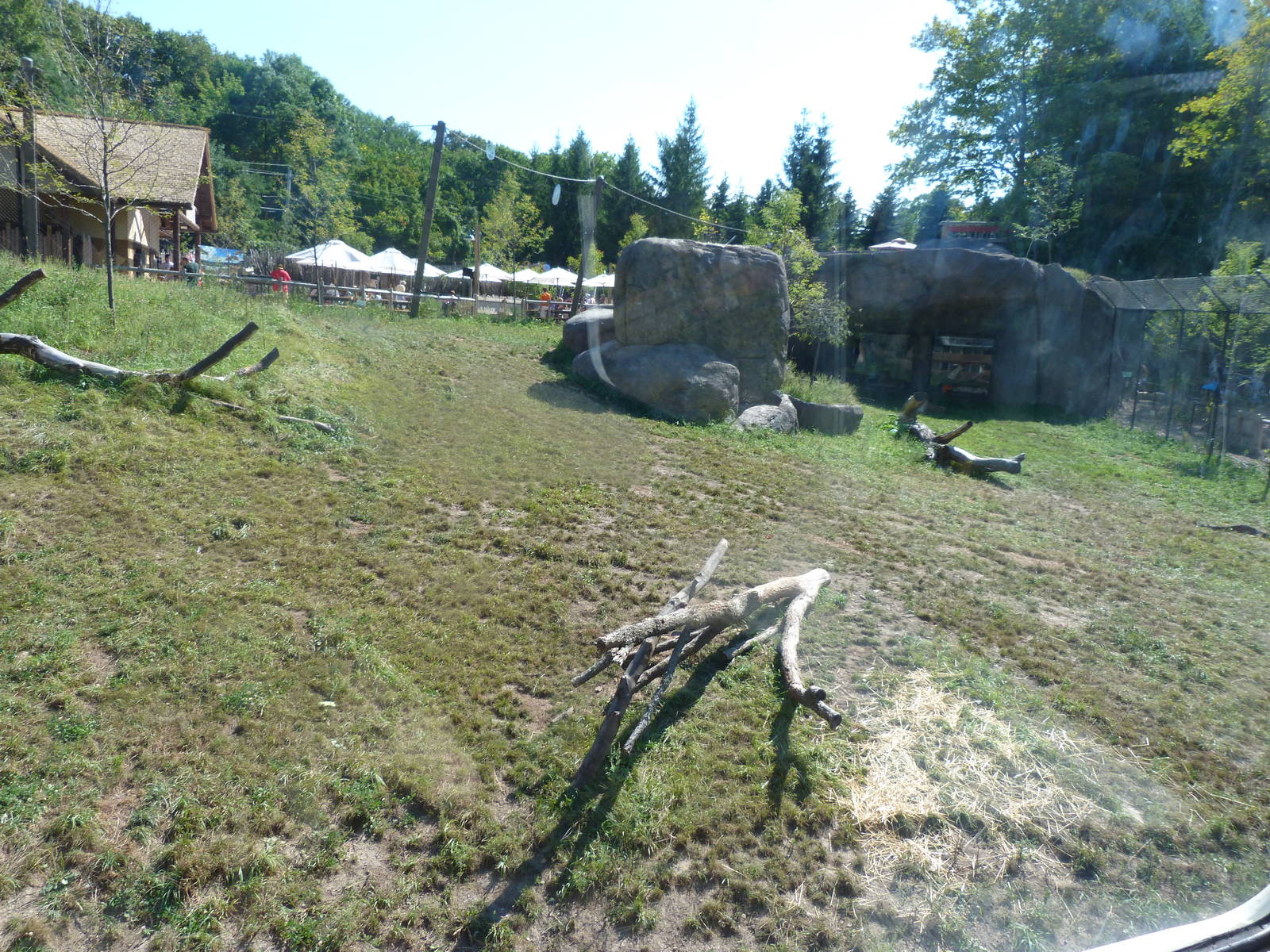 Lion Exhibit -- View from Bus