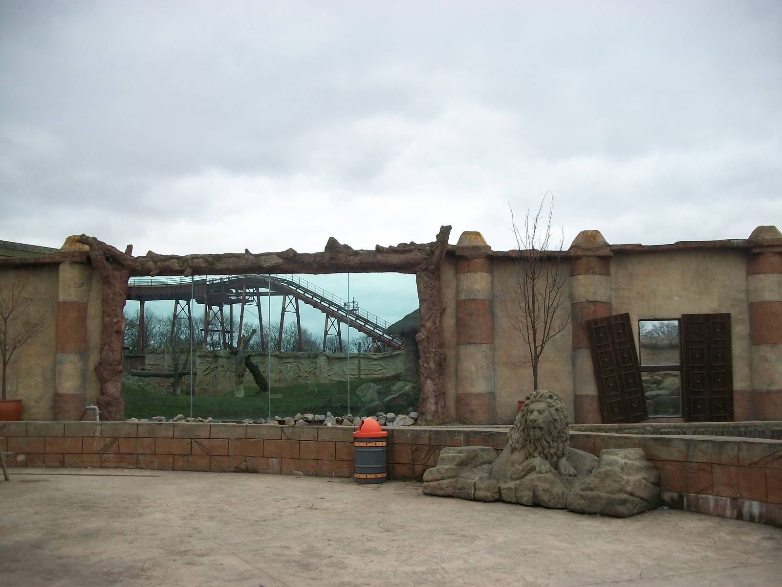 Lion exhibit viewing area 22nd February 2013