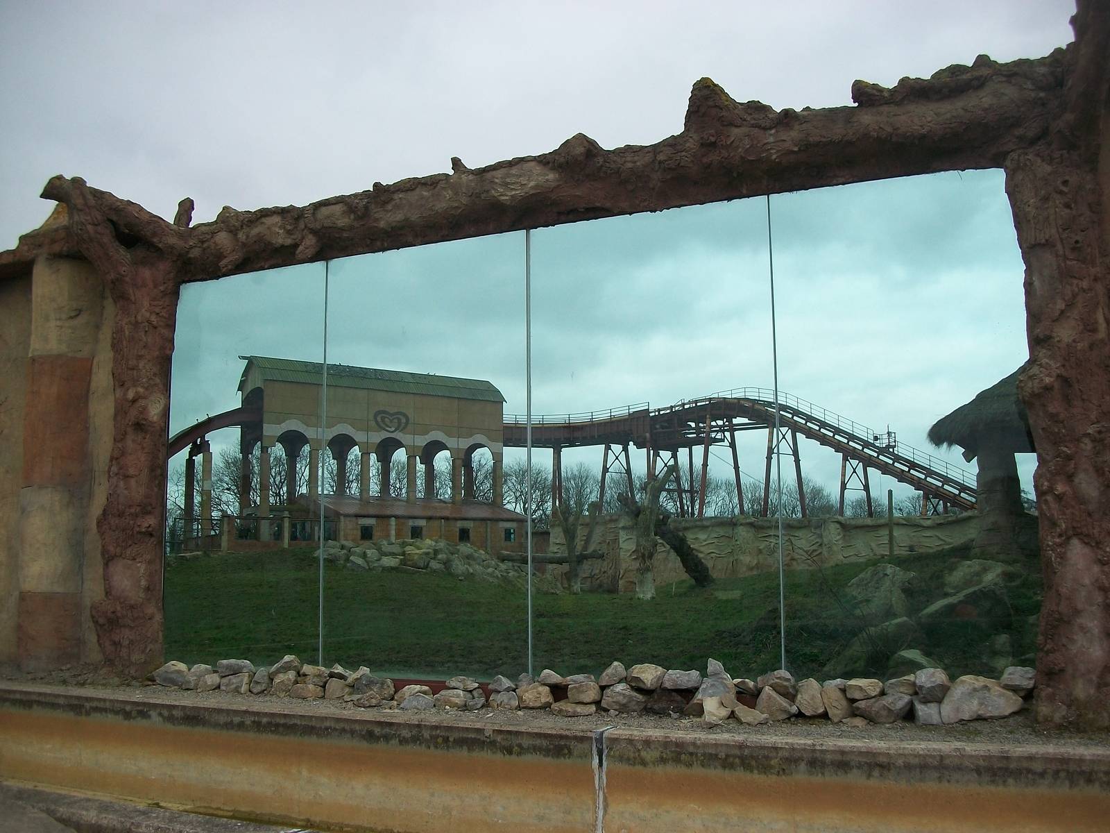 Lion exhibit viewing area 22nd February 2013