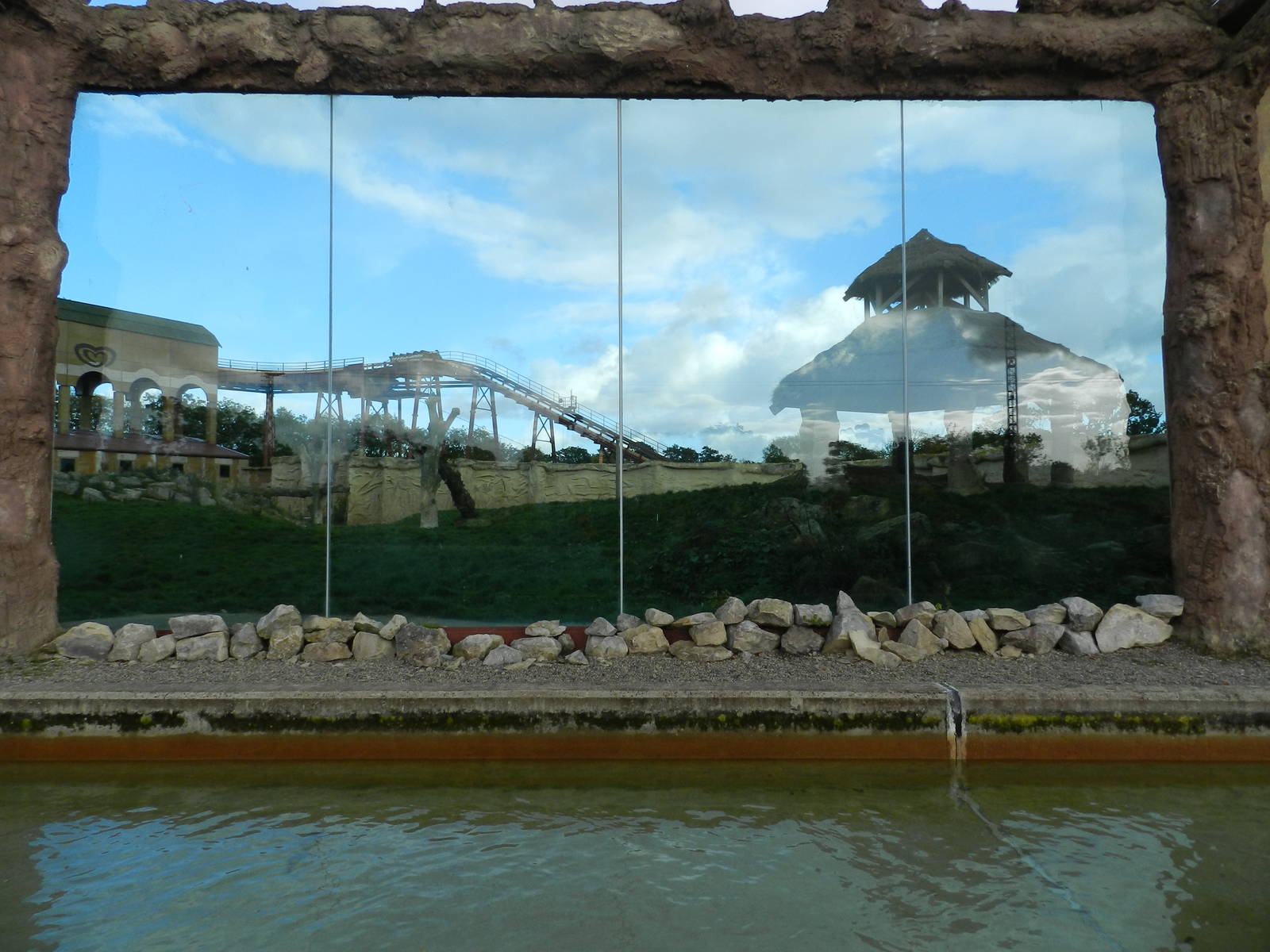 Lion Exhibit Viewing at Flamingo Land - 14/10/2012