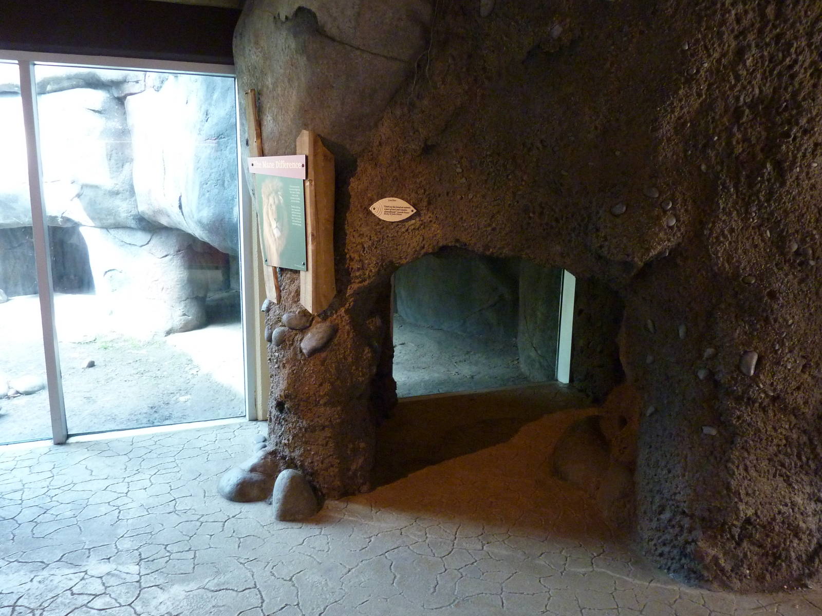 Lion Exhibit - Viewing Cave