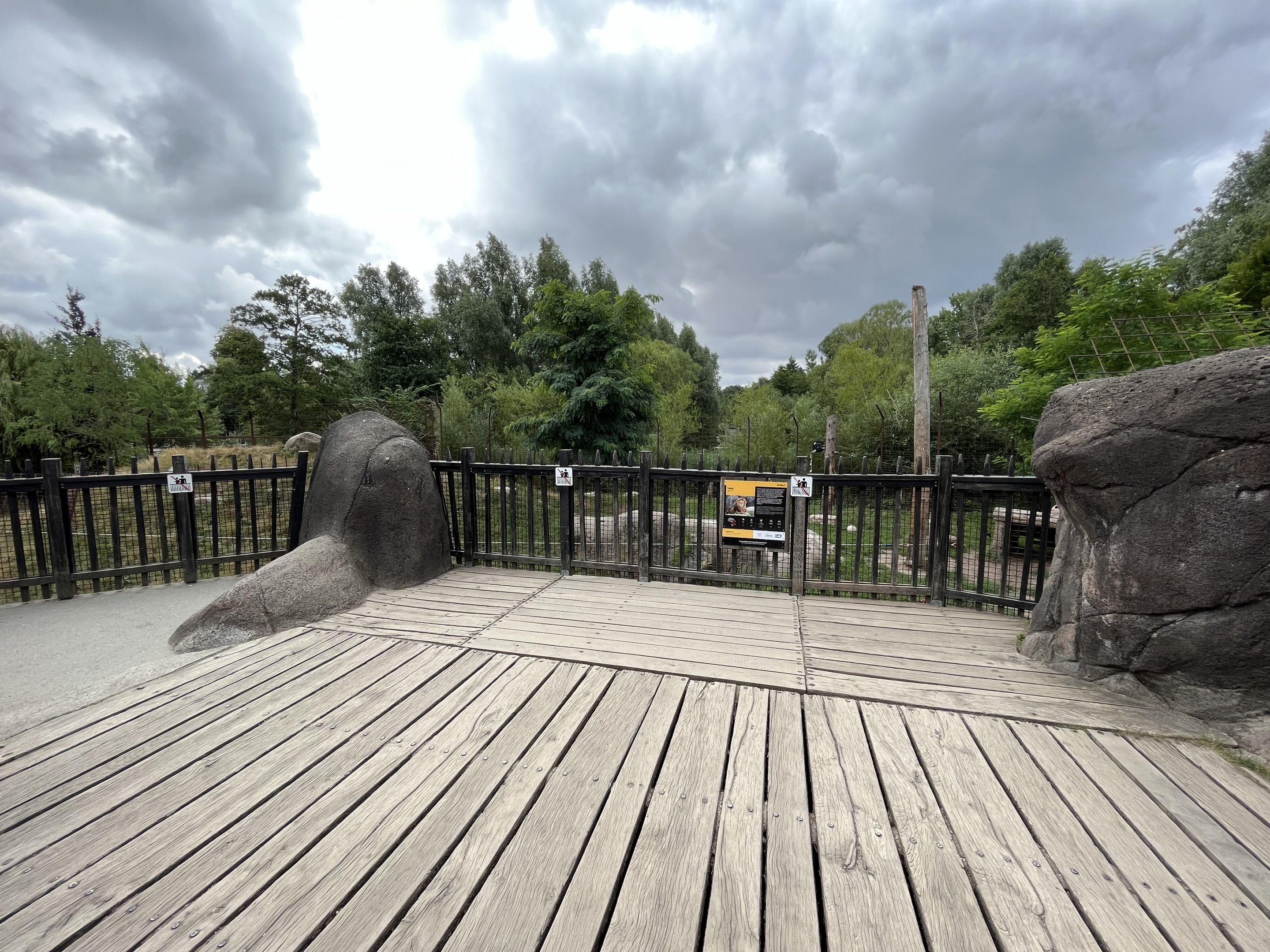 Lion Exhibit - viewing deck