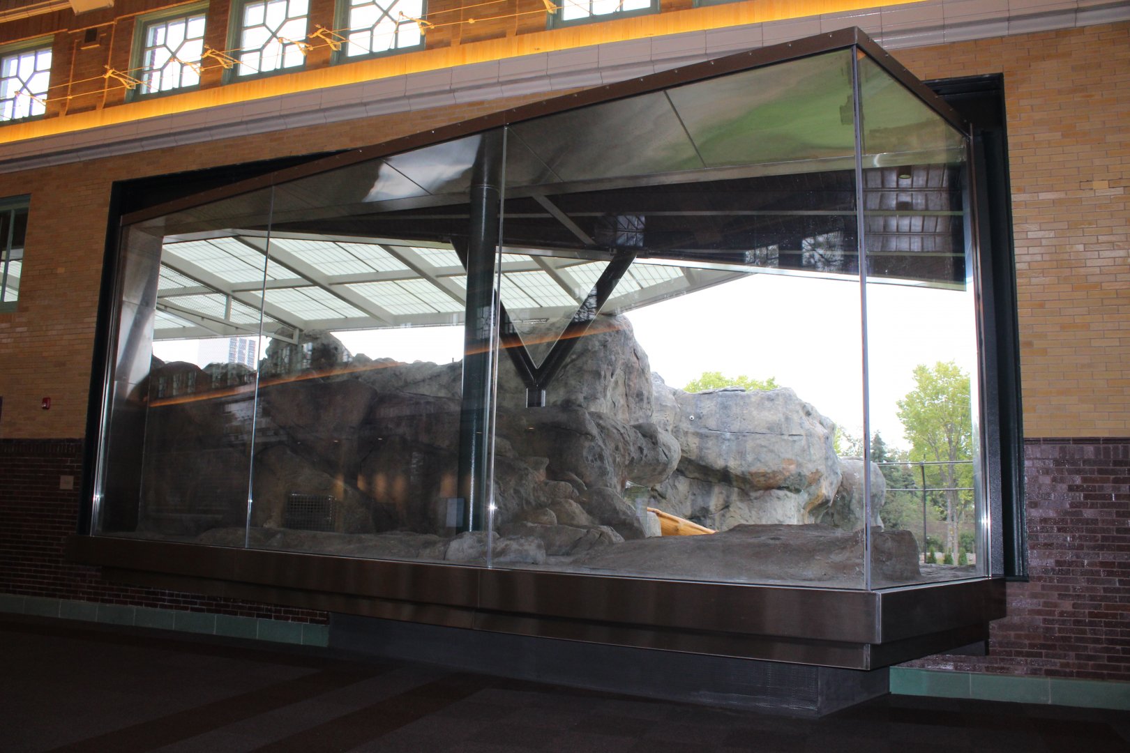 Lion Exhibit Viewing (East Side) - Pepper Family Wildlife Center