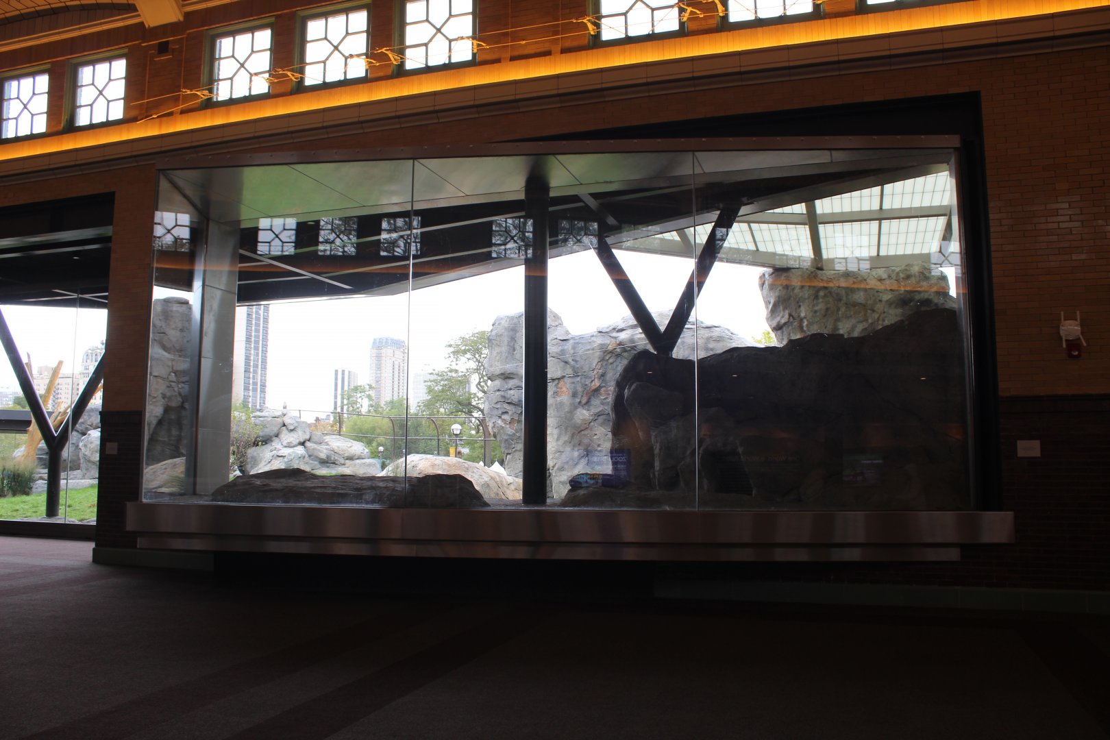 Lion Exhibit Viewing (West Side) - Pepper Family Wildlife Center