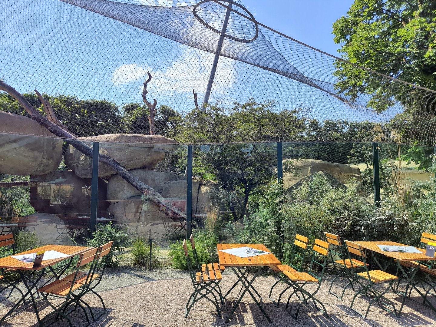 Lion exhibit viewing with restaurant- Tiergarten Schönbrunn