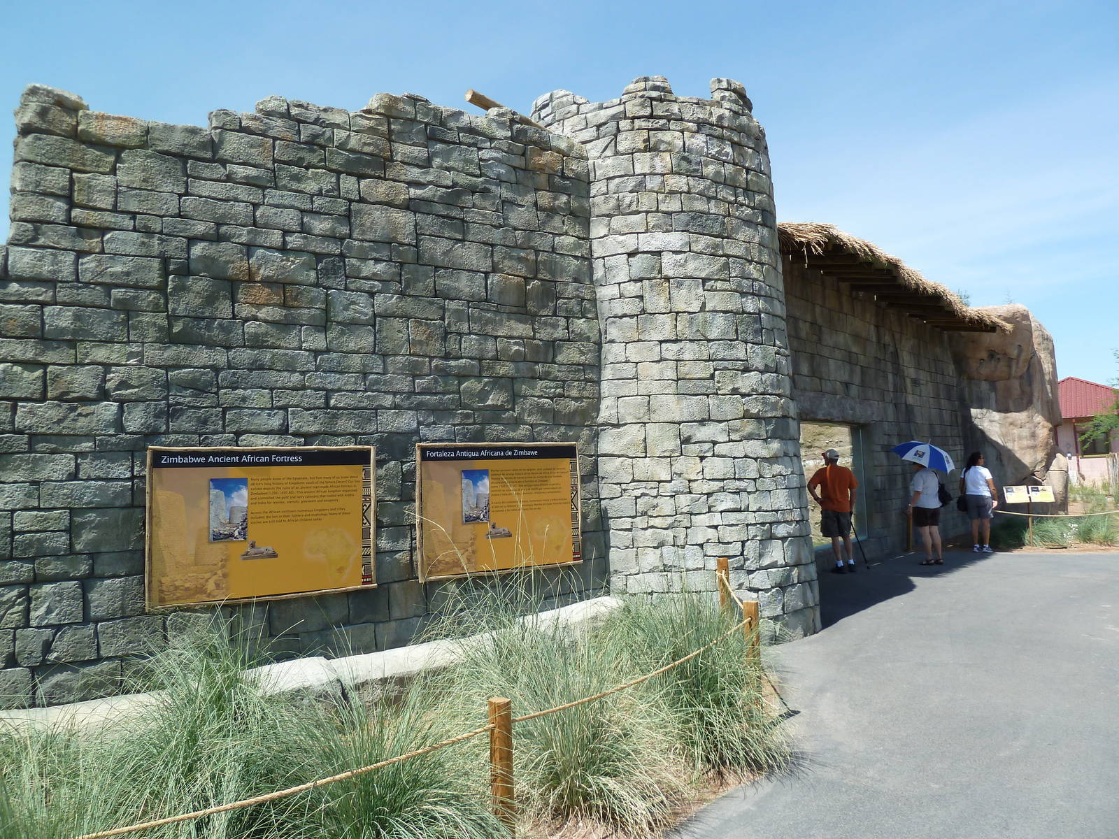 Lion Exhibit Wall - New Exhibit In 2010