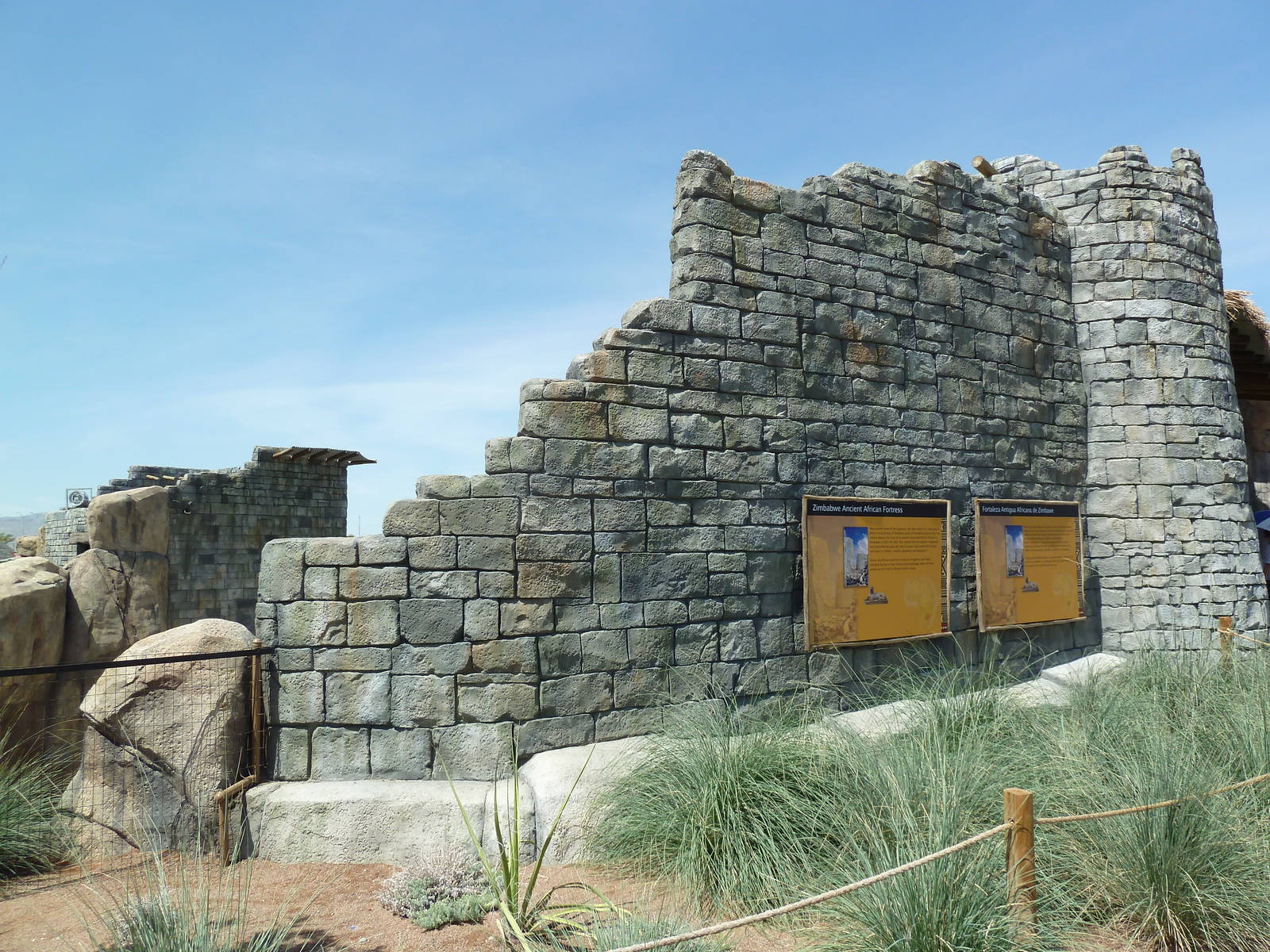 Lion Exhibit Wall - New Exhibit In 2010