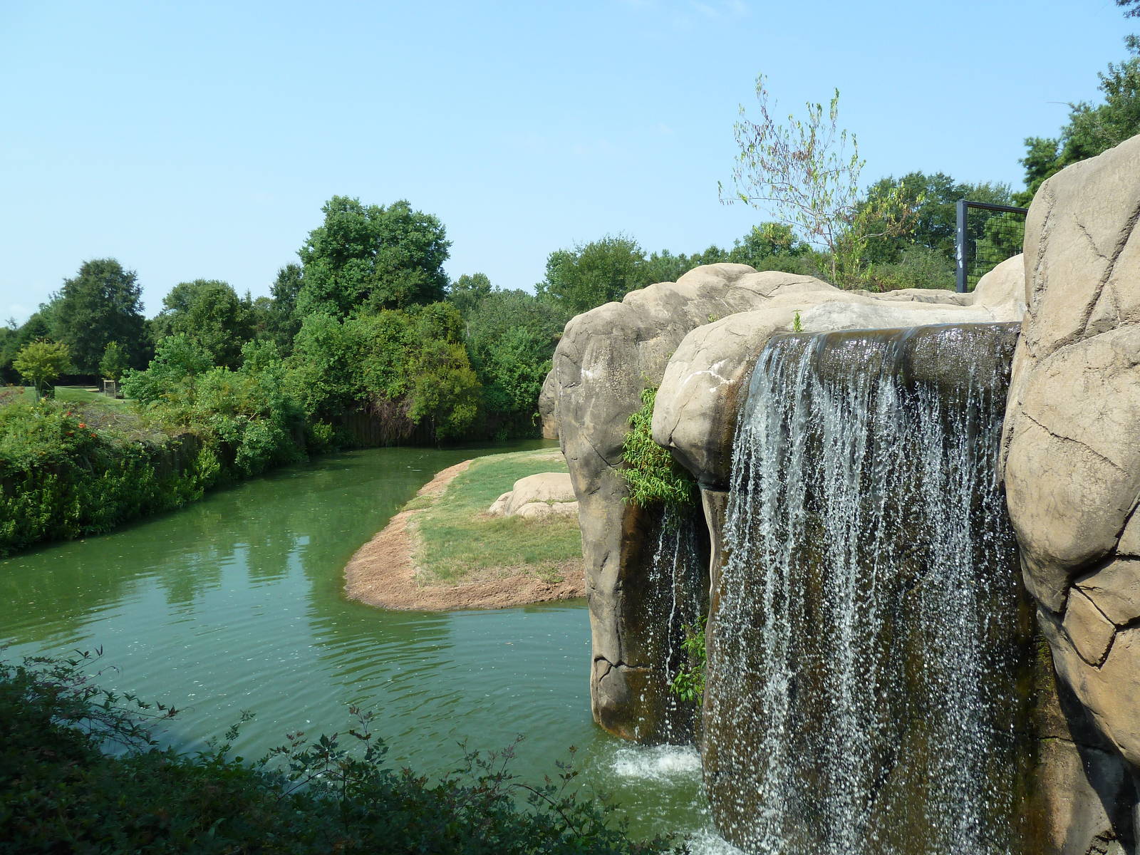 Lion Exhibit - Waterfall