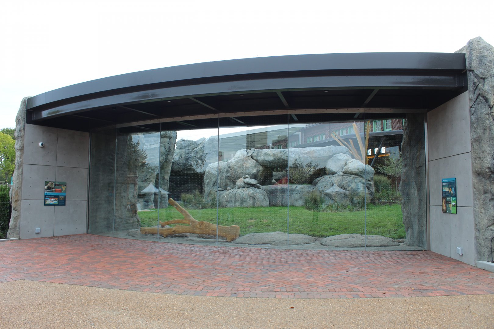 Lion Exhibit (West Side) - Pepper Family Wildlife Center