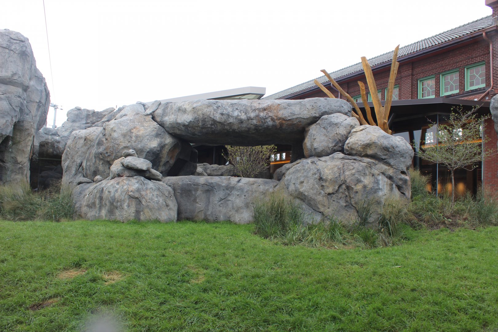 Lion Exhibit (West Side) - Pepper Family Wildlife Center