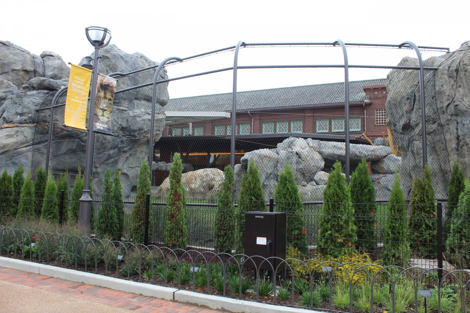 Lion Exhibit (West Side) - Pepper Family Wildlife Center