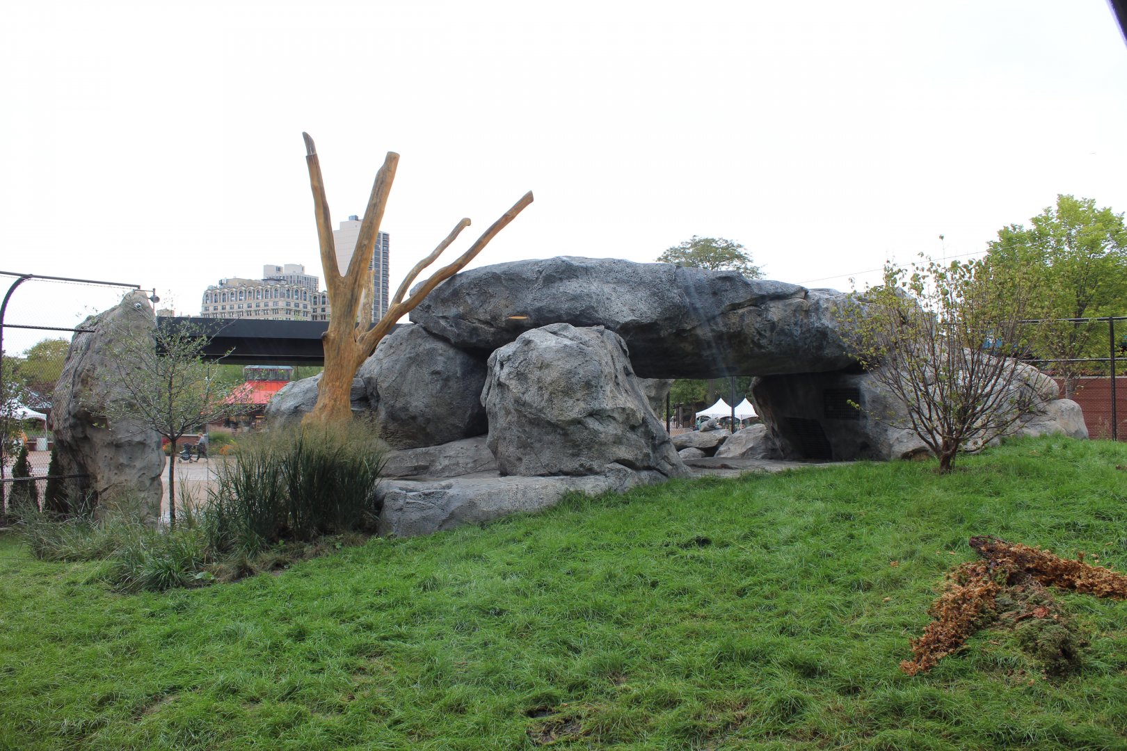 Lion Exhibit (West Side) - Pepper Family Wildlife Center