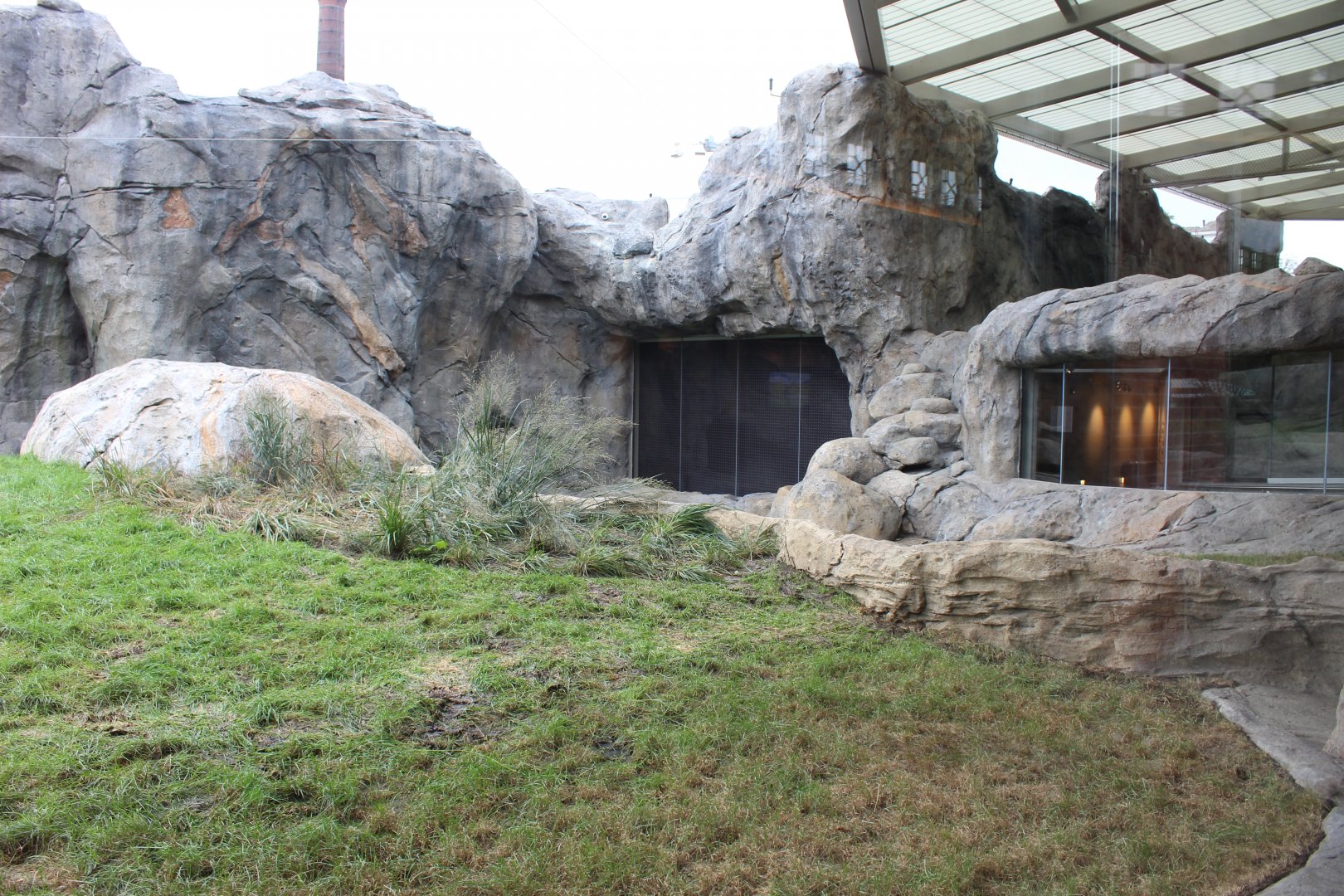 Lion Exhibit (West Side) - Pepper Family Wildlife Center