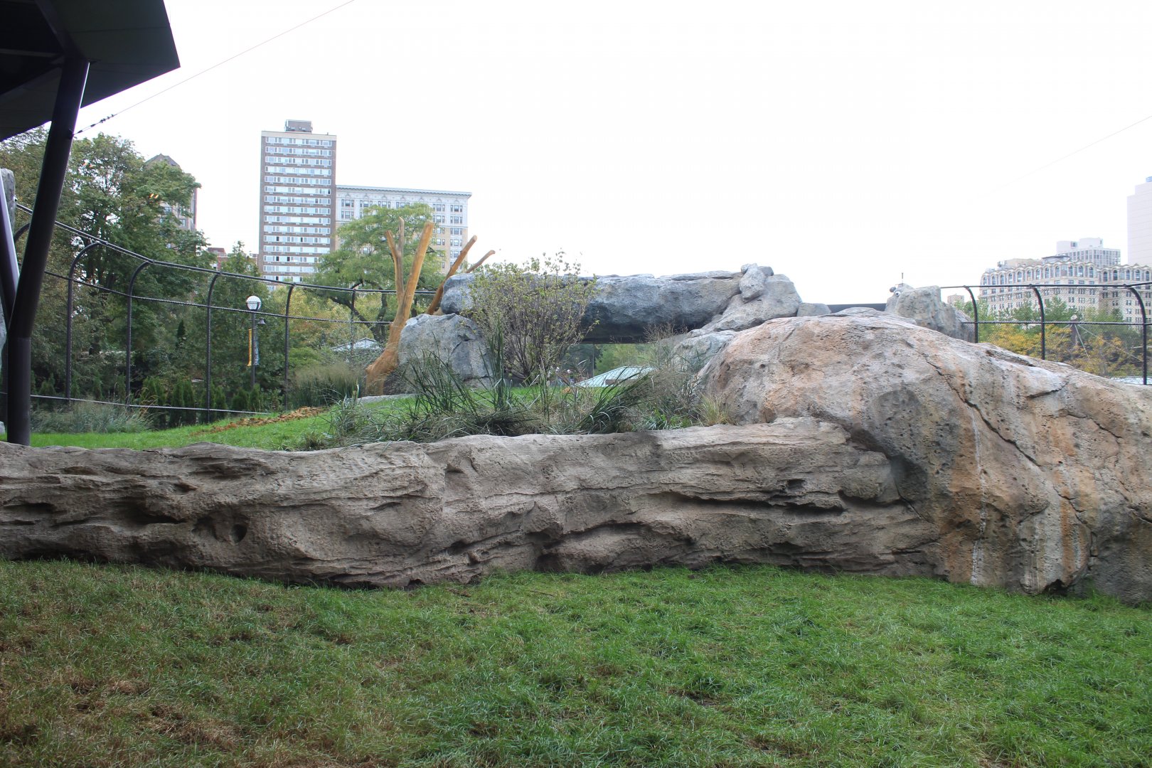 Lion Exhibit (West Side) - Pepper Family Wildlife Center