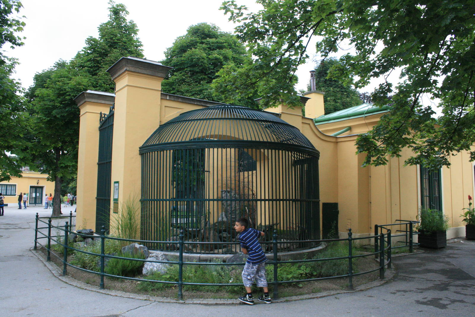 lion exhibit - zoo trip europe 2008