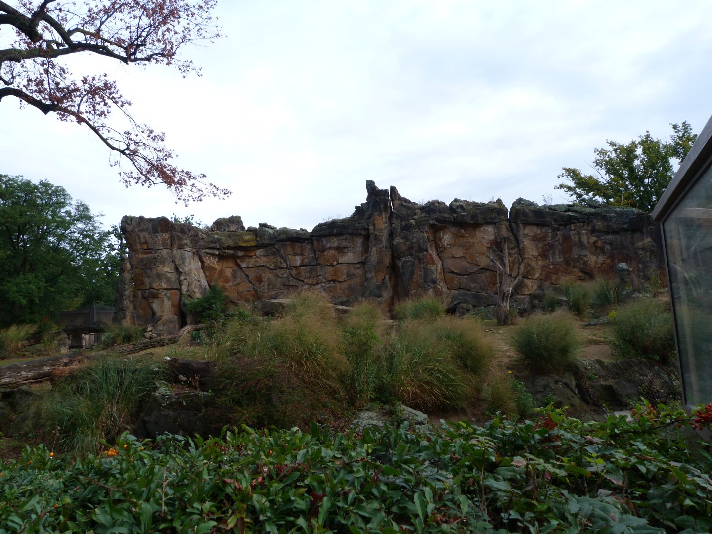 Lion exhibit -Zoologischer Garten Berlin (2024)