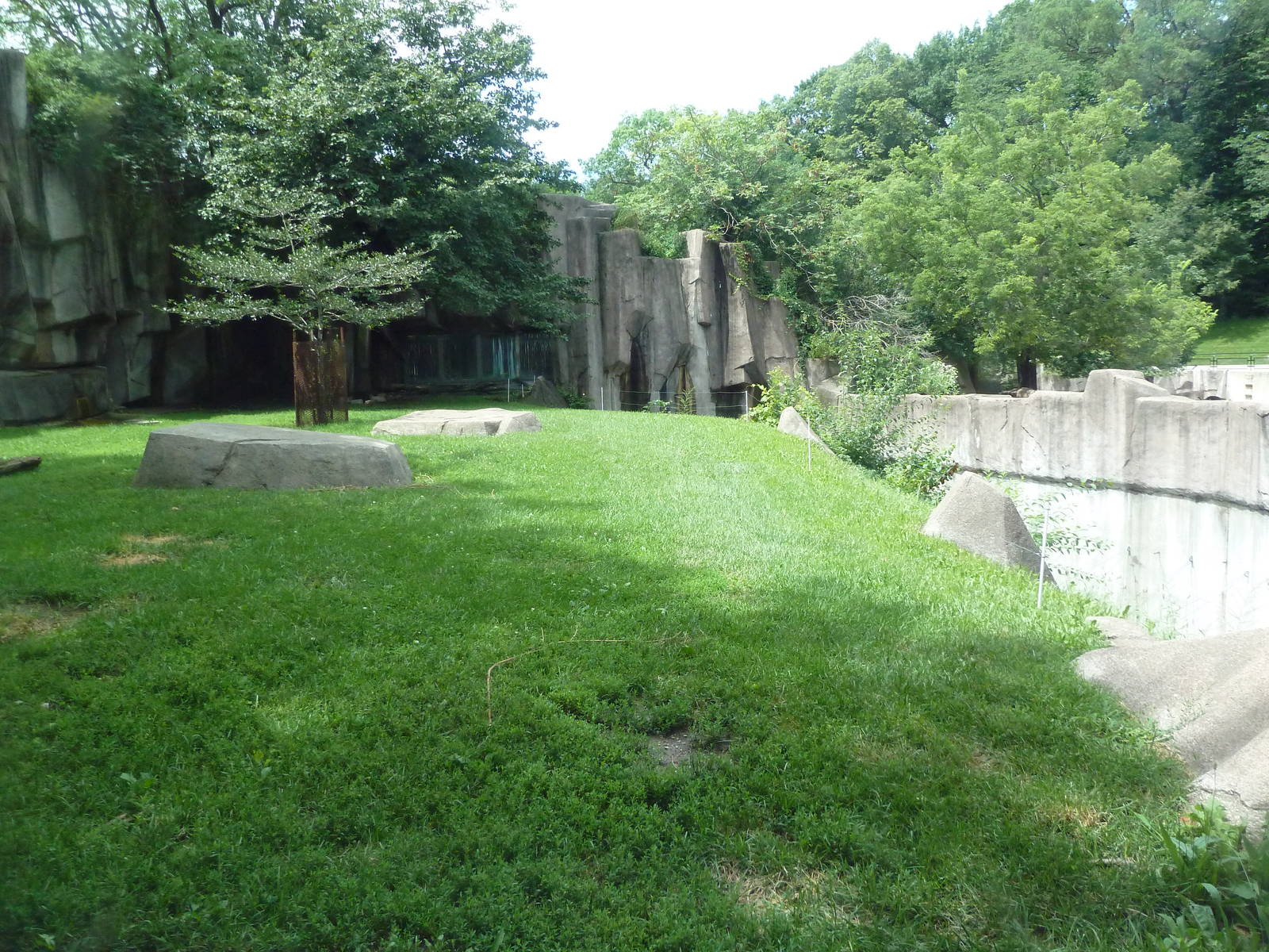Lion Exhibit