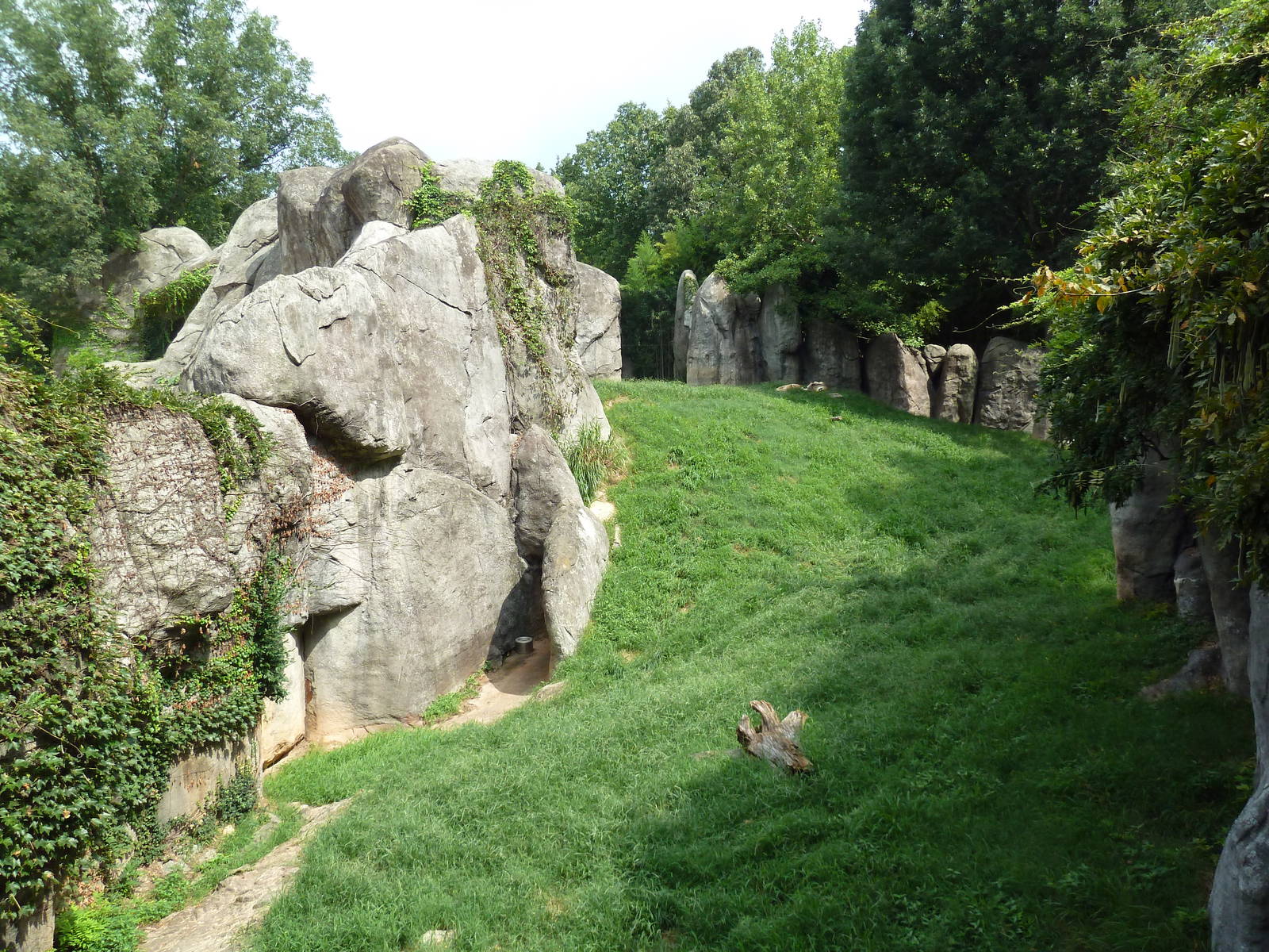 Lion Exhibit