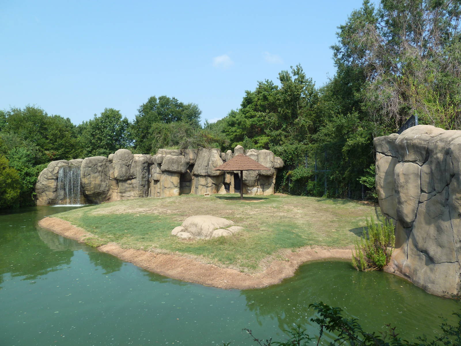 Lion Exhibit