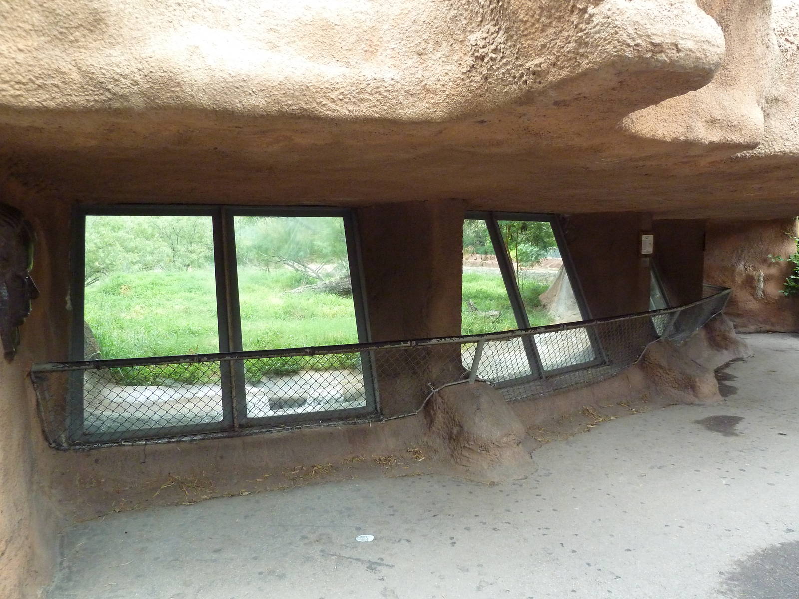 Lion Exhibit